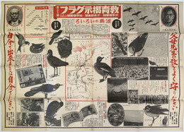 渡鳥のいろいろ  教育掲示グラフ第３３号
