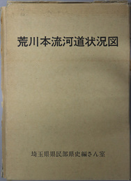 荒川本流河道状況図 