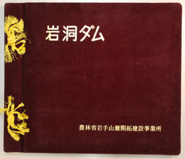 81H77-Lp8LL._AC_UF350,