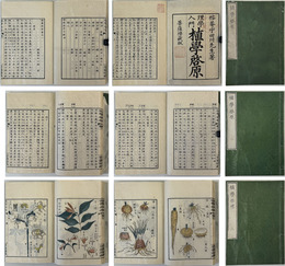 植学啓原  ［理学入門植学啓原］