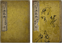 丁丑乱概 