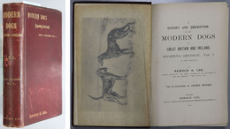 MODERN DOGS（英文）  SPORTING DIVISION