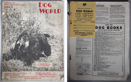 DOG WORLD（英文）  WINTER-SPRING SHOWAS ISSUE