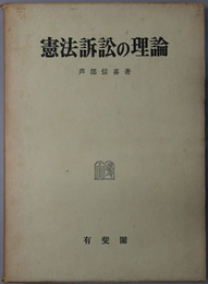 憲法訴訟の理論 