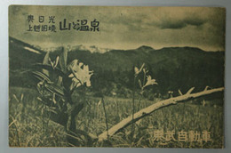 奥日光上越国境 山と温泉 奥日光・尾瀬附近絵図／他（東武バス時刻表共）