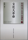 竹内実中国論自選集 文化大革命・うごく中国・映像と文学