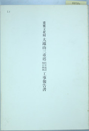 重要文化財大滝山三重塔防災施設保存修理工事報告書