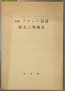 史跡フゴッペ洞窟保存工事報告 （附図共）