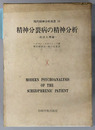 精神分裂病の精神分析 技法と理論（現代精神分析双書１８）