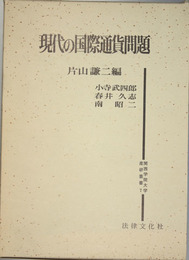 現代の国際通貨問題 関西学院大学産研叢書 ７