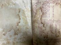 風俗畫報増刊　東京勸業博覽會圖會　第1編 第2編 第3編 第4編　【4冊】