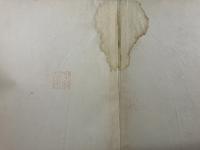 大日本植物誌　ウラボシ科 ヲシダ亜科 1