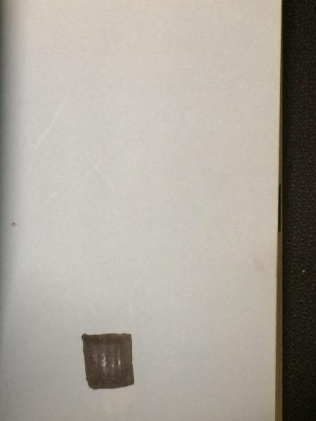 生活の中の治療: 子どもと暮らすチャイルド・ケアワ-カ-のために 生活の中の治療: 子どもと暮らすチャイルド・ケアワ-カ-のために