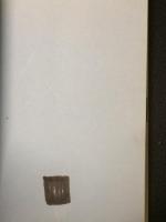 生活の中の治療 : 子どもと暮らすチャイルド・ケアワーカーの