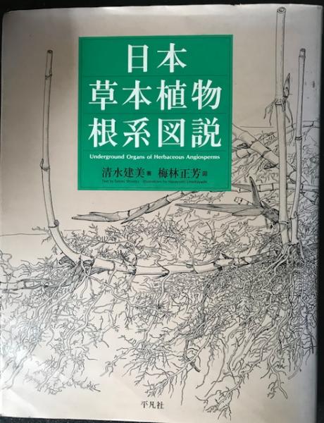 日本草本植物根系図説 日本草本植物根系図説 | 清水 建美, 梅林 正芳 |本 | 通販 | Amazon