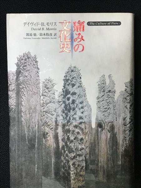 痛みの文化史 痛みの文化史(デイヴィド・B.モリス 著 ; 渡邉勉, 鈴木牧彦 訳