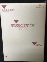 思想史とはなにか : 意味とコンテクスト