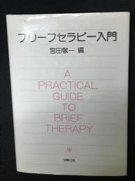 ブリーフセラピー入門