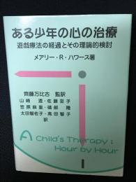 ある少年の心の治療 : 遊戯療法の経過とその理論的検討