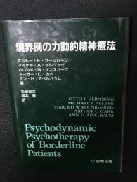 境界例の力動的精神療法