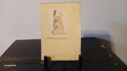 Odori Japanese Dance 日本舞踊