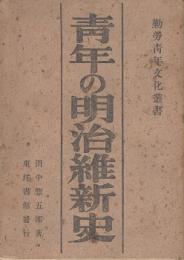 青年の明治維新史