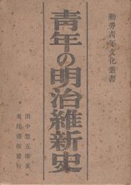 青年の明治維新史