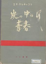 嵐の中の青春 : ある中国青年の自伝