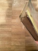 チャッカリ娘とウッカリ息子