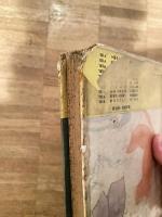 チャッカリ娘とウッカリ息子