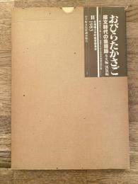 おびらたかさご擦文時代の集落跡 : 農地造成工事に伴なう埋蔵文化財包蔵地発掘調査報告書　本文編/図版編