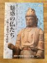 魅惑の仏たち : 大阪・孝恩寺の木彫群