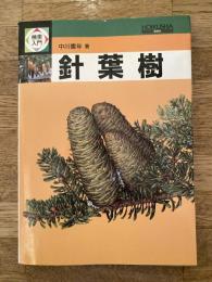 検索入門　針葉樹