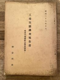 工場実態調査報告書 : 東京湾地域総合開発調査
