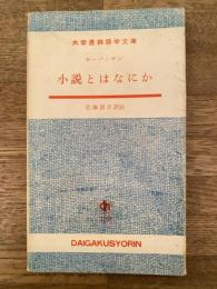 小説とはなにか　大学書林語学文庫