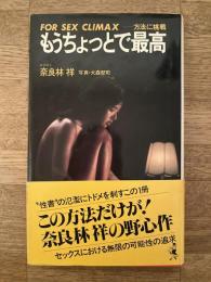 もうちょっとで最高 : for sex climax