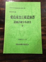 愛島東部丘陵遺跡群 : 遺跡詳細分布調査