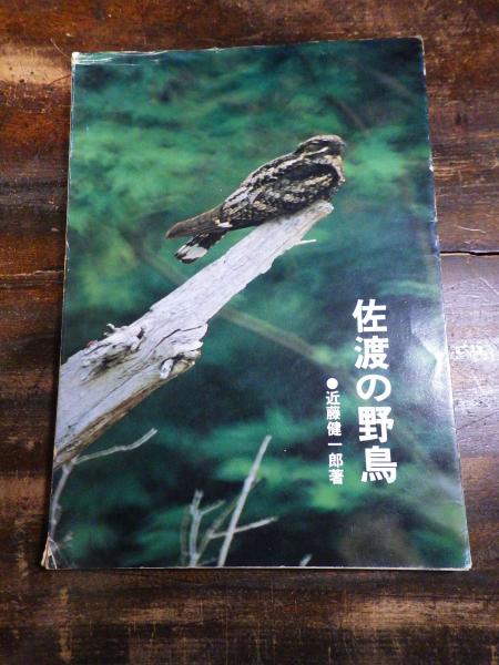 佐渡の野鳥 近藤健一郎 青聲社 古本 中古本 古書籍の通販は 日本の古本屋 日本の古本屋