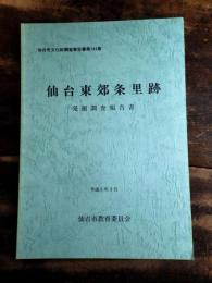 仙台東郊条里跡 : 発掘調査報告書