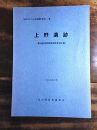 上野遺跡 : 電力鉄塔関係発掘調査報告書