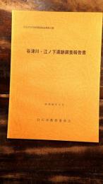 谷津川・江ノ下遺跡調査報告書