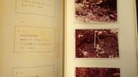 パプアニューギニア　WEWAK西部　地質鉱床調査　報告書