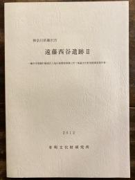 神奈川県藤沢市遠藤西谷遺跡Ⅱ : 藤沢市遠藤打越地区土地区画整理事業に伴う埋蔵文化財発掘調査報告書