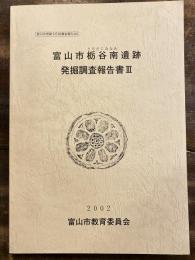 富山市栃谷南遺跡発掘調査報告書