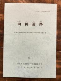 向田遺跡 (むこうたいせき) : 東部工業団地拡張に伴う埋蔵文化財発掘調査報告書