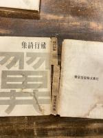 翼 : 飛行詩集