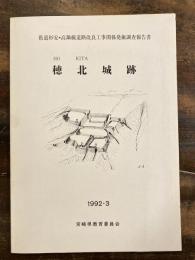 穂北城跡 : 県道杉安・高鍋線道路改良工事関係発掘調査報告書