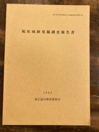 椛坂城跡発掘調査報告書