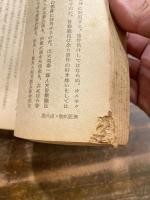 新捜査の栞　検察資料31