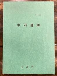 水沼遺跡 : 烏川流域における弥生文化の研究